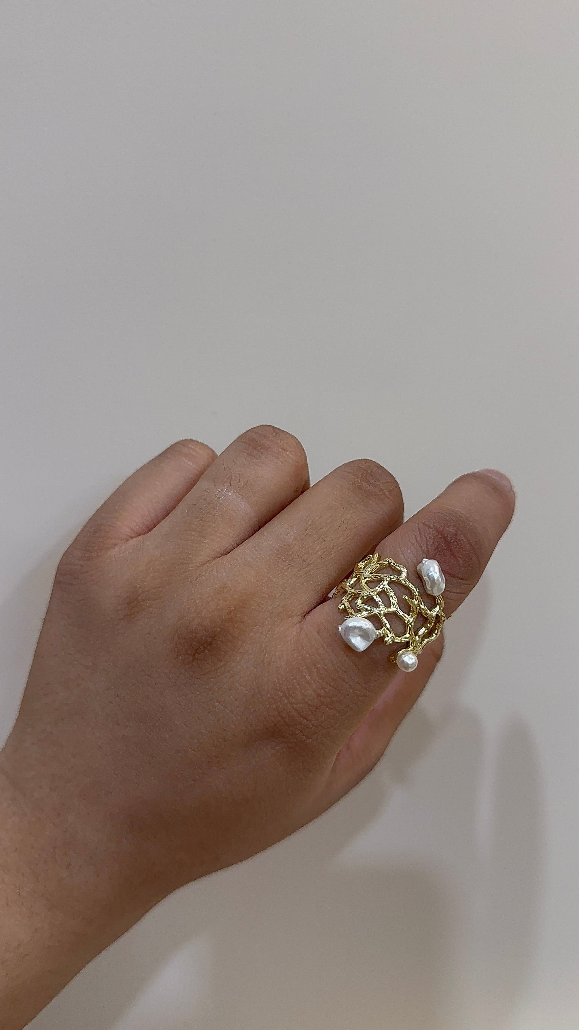 Paradise Ring Mojewindia